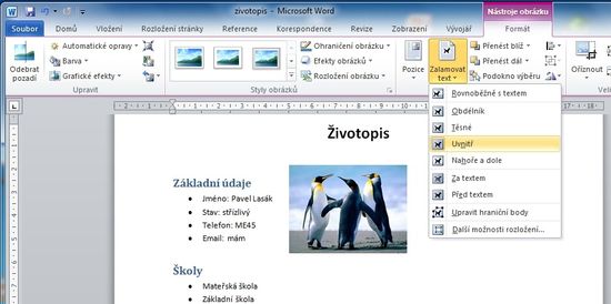 MS Word 2010 - vlozeni obrazku okno